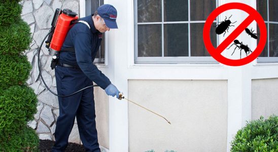 Çamlıyayla Kemirgen İlaçlama böcek ilaçlama ve haşere kontrolü — ilaclama-tr.com